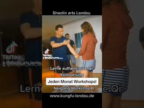 Shaolin Arts Landau: Neigong Workshop