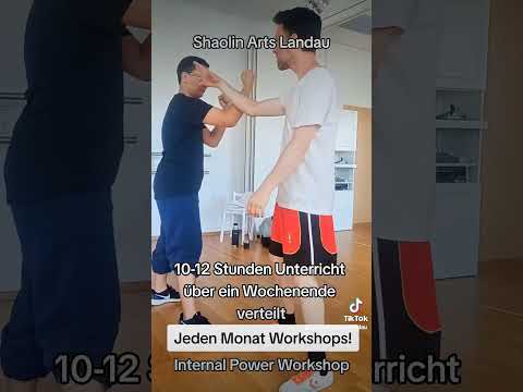 Shaolin Arts Landau: Internal Power Workshop